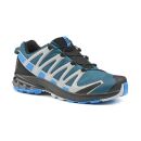 Salomon Schuhe XA PRO 3D v8 GTX M Legion Blue/Blithe/Pearl Blue