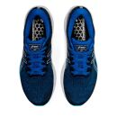 Asics GT-2000 10 MEN Farbe Lake Drive/White US 8,5 / UK 7,5 / EURO 42 / CM 26.5