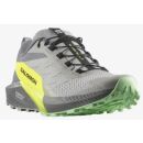 Salomon Schuhe SENSE RIDE 5 Alloy/Quiet Shade/Safety Yellow