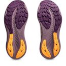 GEL-NIMBUS 26 TR Lady
